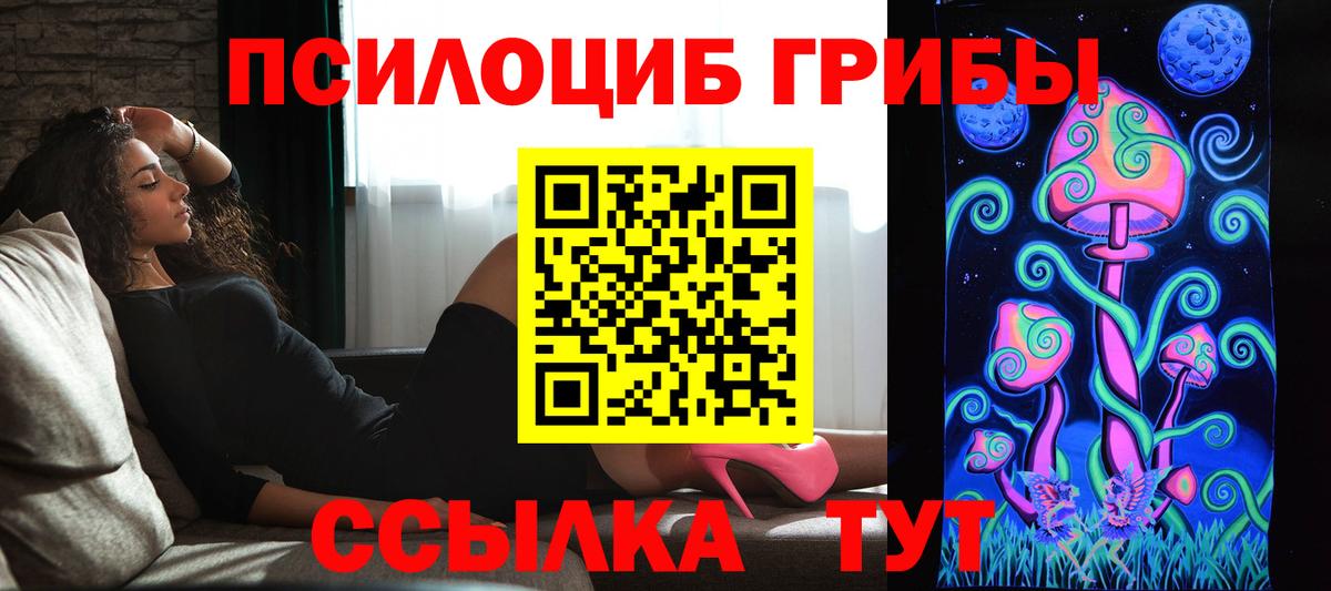 Псилоцибиновые грибы Psilocybe Хасавюрт