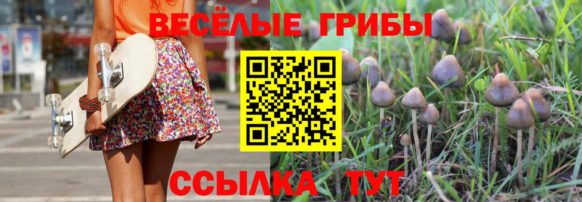 Псилоцибиновые грибы ЛСД  Вход с VPN  закладки  Хасавюрт 