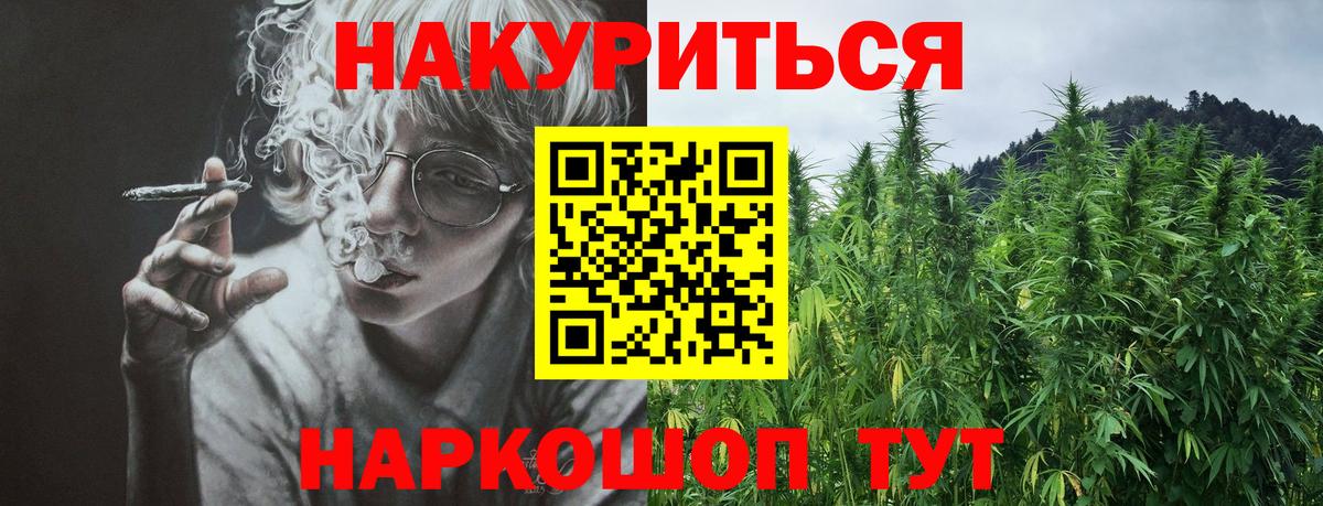Конопля семена Хасавюрт