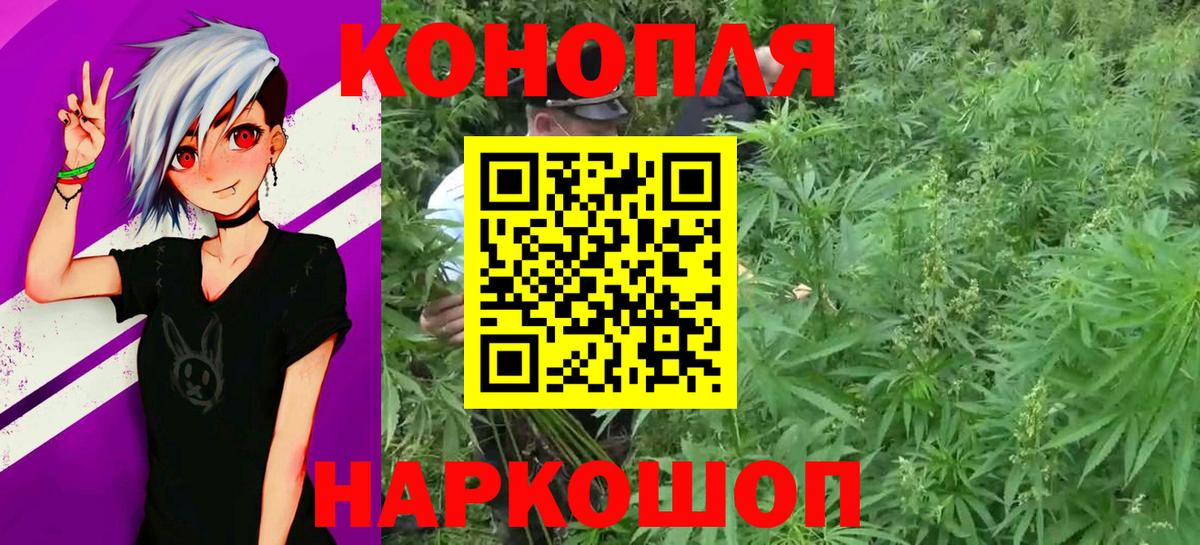 Марихуана Bruce Banner  Шишки марихуана конопля  Шишки марихуана THC 21%  Хасавюрт  Вход с VPN 